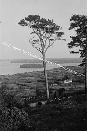 LOUGH KEY FROM ROCK OF DOOR VARIOUS VIEWS OF LOUGH FROM HILLSIDE